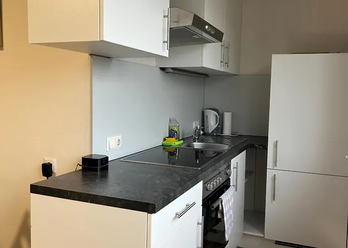 Apartment Charming Studio In Graz